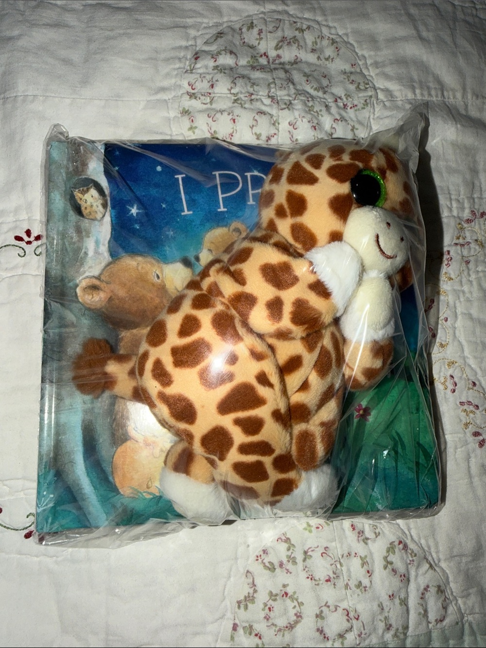 Book & a plushie “I prayed for you” 
Good PreOwned condition